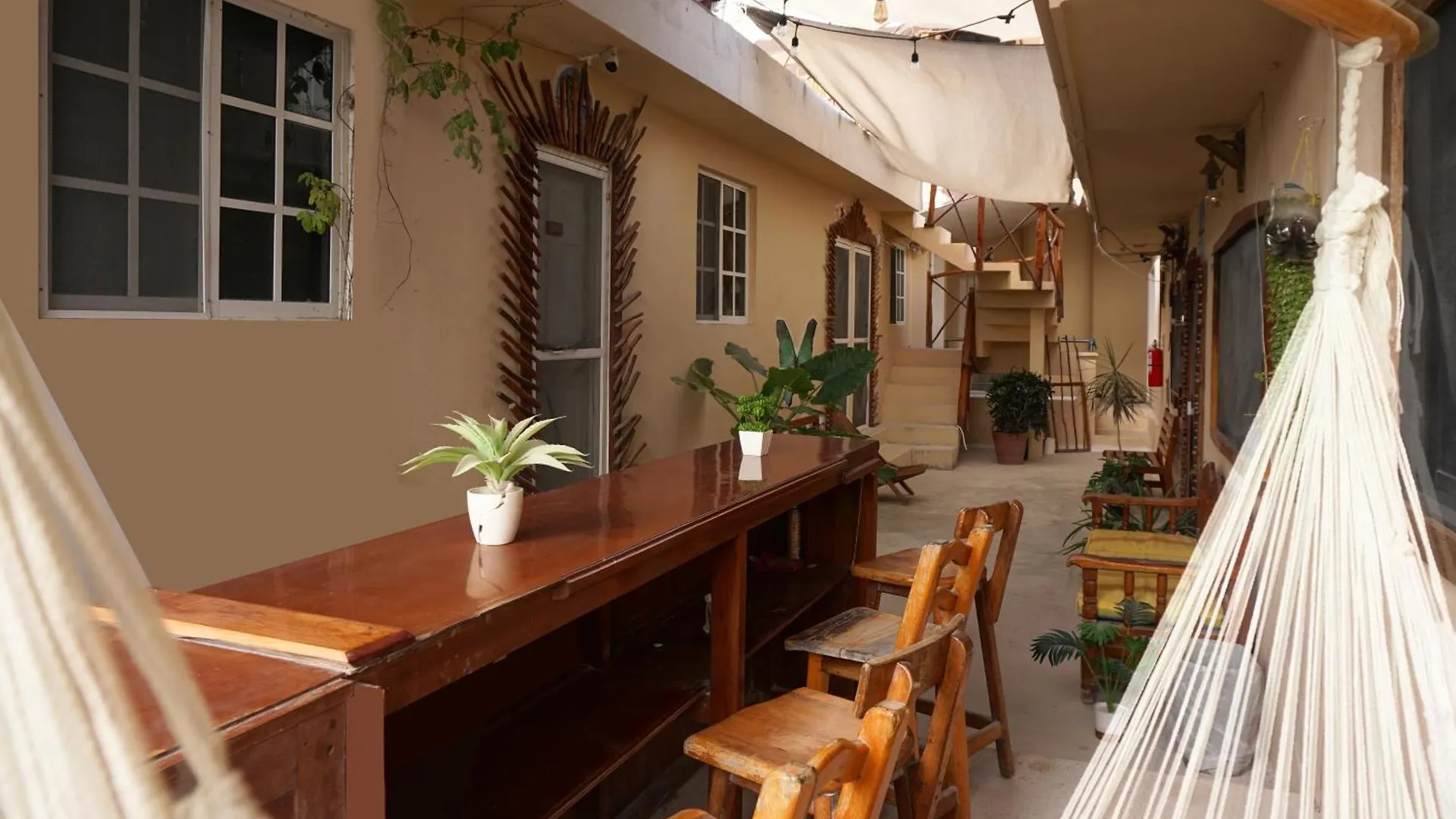 Habitacion Con Terraza Frente Al Parque 홀박스아일랜드 여관